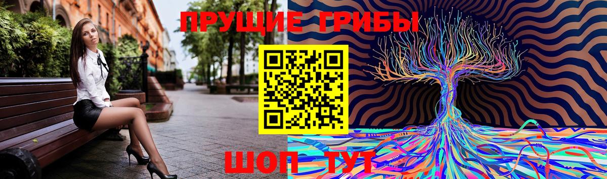 Псилоцибиновые грибы Psilocybine cubensis Семёнов